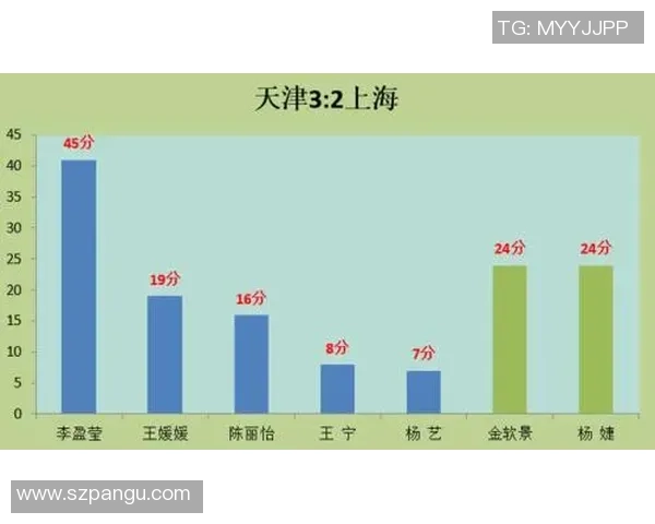 深圳排球队配合策略深度解析与对比分析